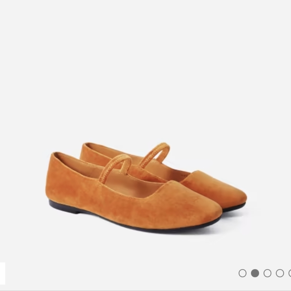 Everlane Mary Jane